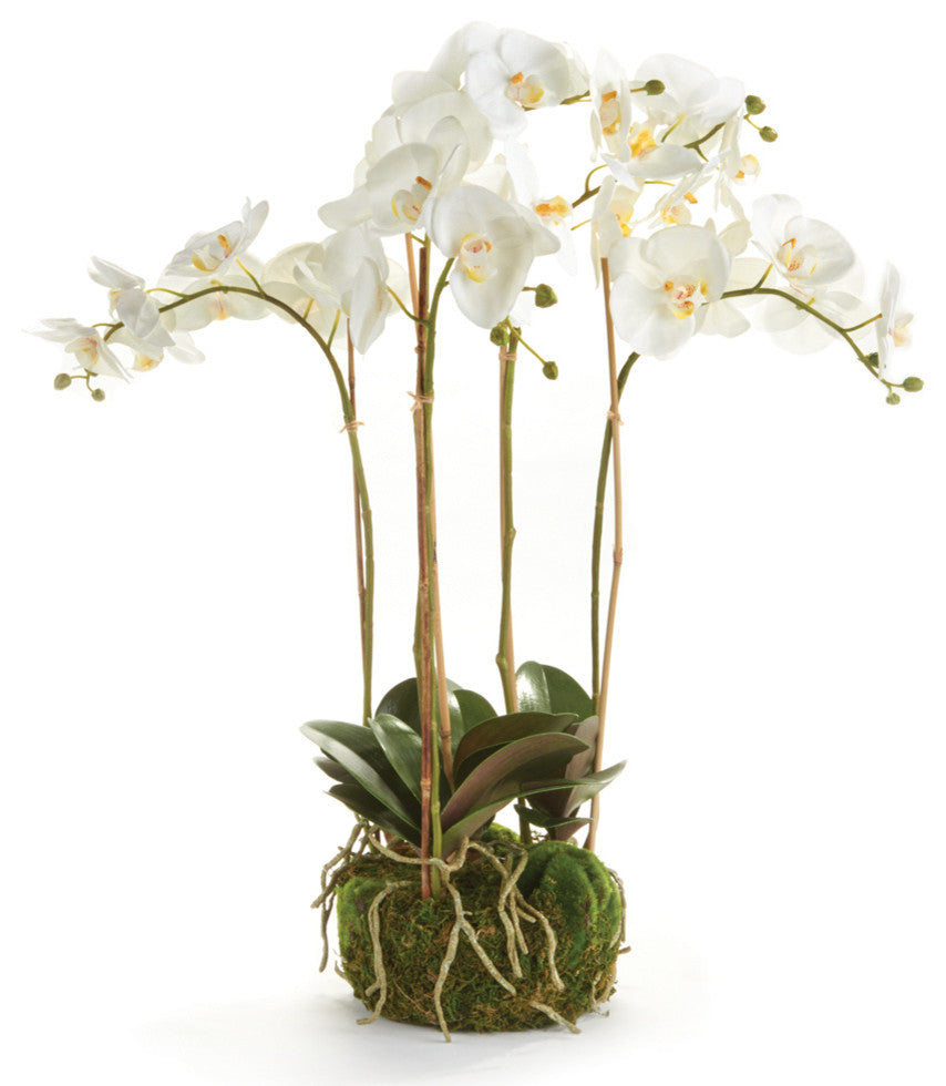 Orchid 25" Bowl Drop-In White