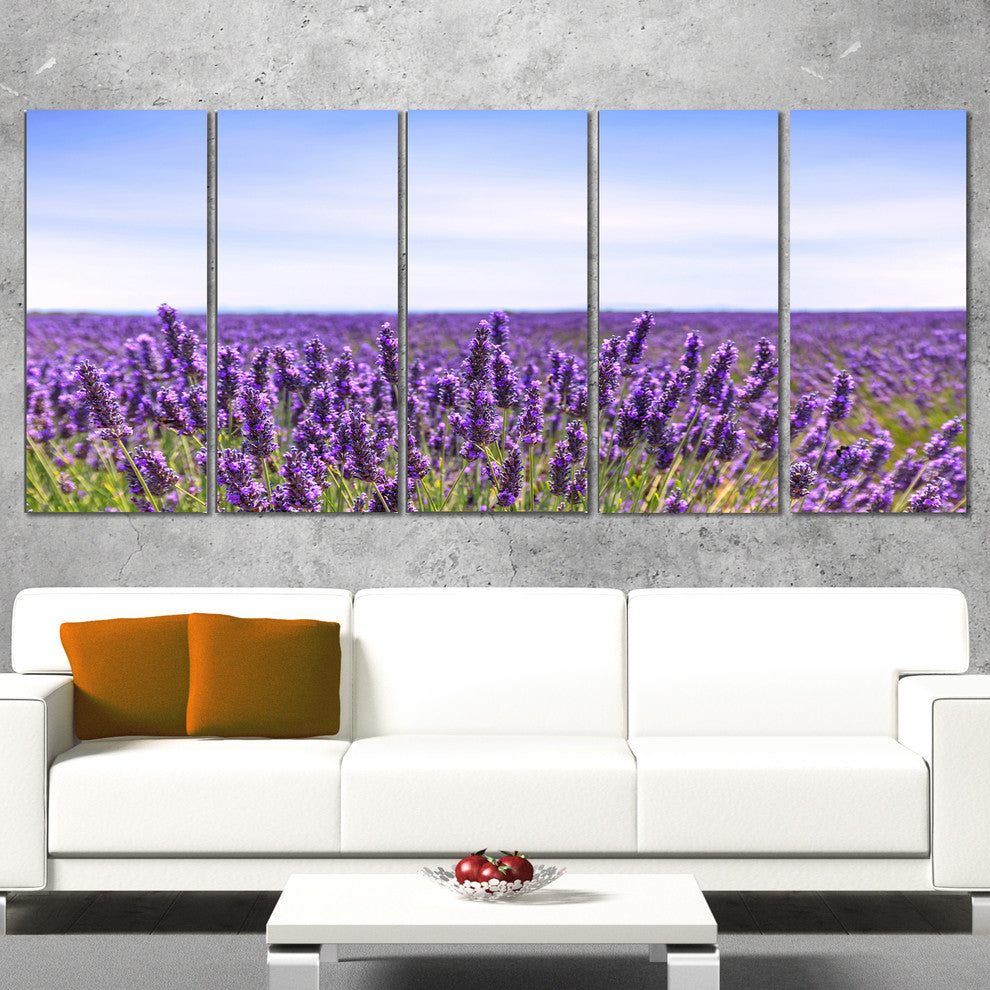 "Close View of Lavender Flower Field" Landscape Wall Art, 5 Panels, 60"x28"