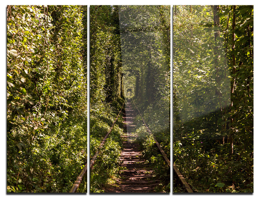 "Tree Rail Tunnel in Forest" Photo Metal Wall Art, 3 Panels, 36"x28"