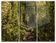 "Tree Rail Tunnel in Forest" Photo Metal Wall Art, 3 Panels, 36"x28"