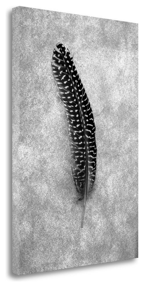 "Feathers - 5" By Alan Blaustein, Giclee Print on Gallery Wrap Canvas