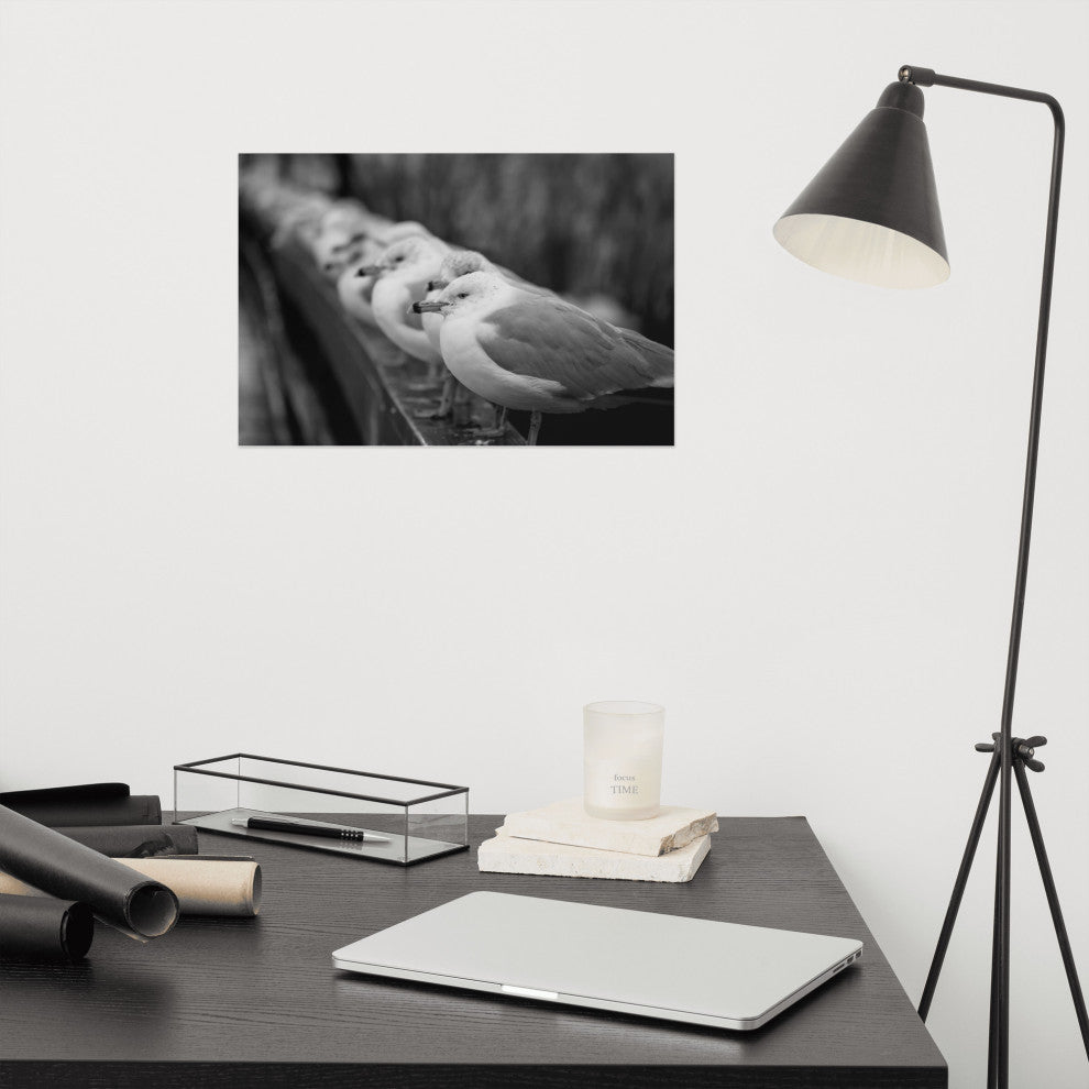 Gull King Black & White (Coastal Birds) Wildlife Photo Unframed Wall Art Print, 12" X 18"