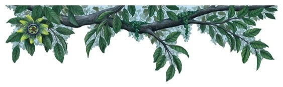 Greenflower Border Peel and Stick Applique 21152