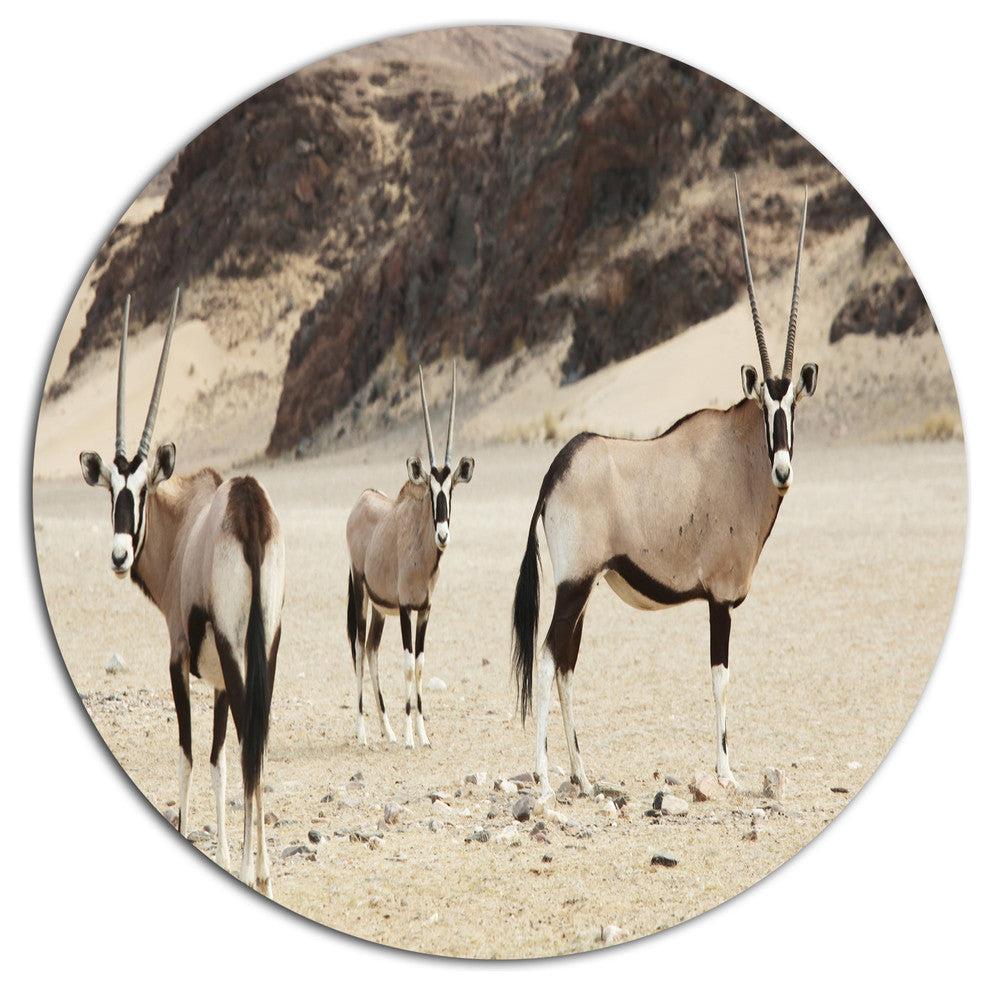 Beautiful Wildebeests On Valley, Landscape Round Wall Art, 23"