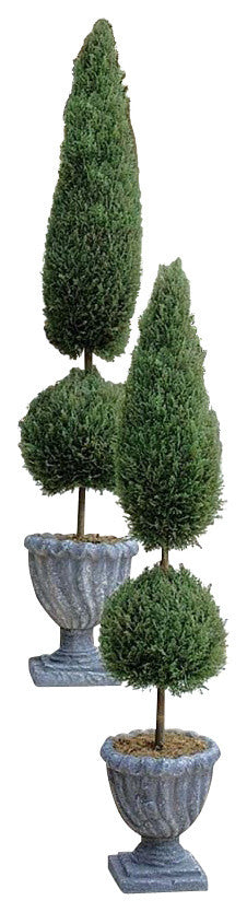 Classic Topiary, 48"