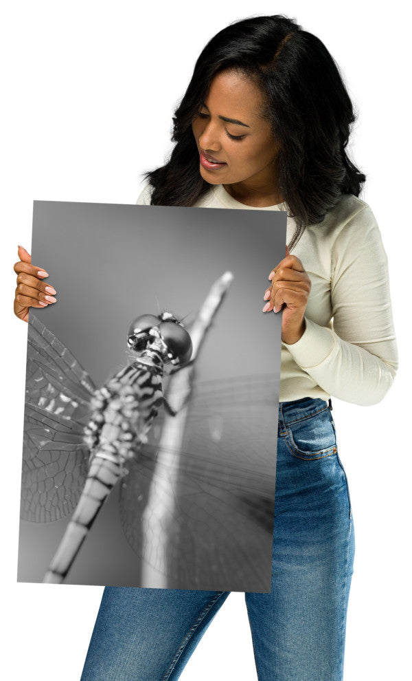 Dragonfly at Bombay Hook Black and White Unframed Wall Art Print, 12" X 18"