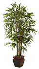 5 5' Bamboo With Decorative Planter