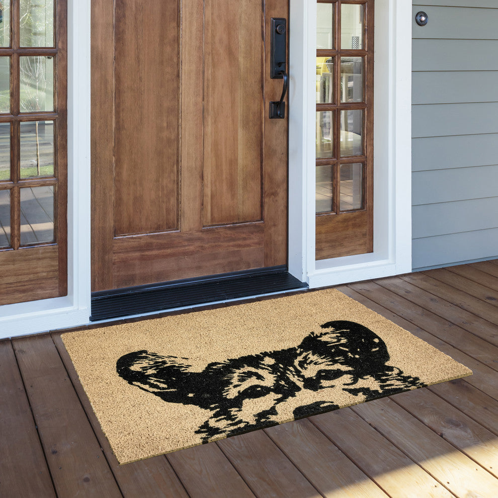 Sparky 24x36 Coir Doormat by Kosas Home