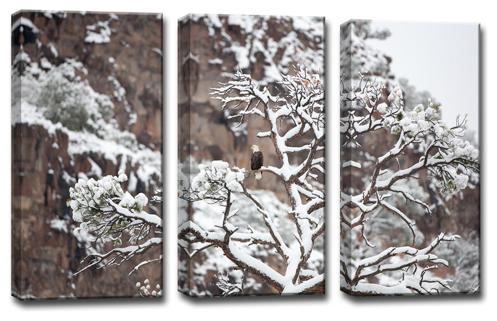 Ready2HangArt 'Eagle' by Bartlettayes 3-Panels