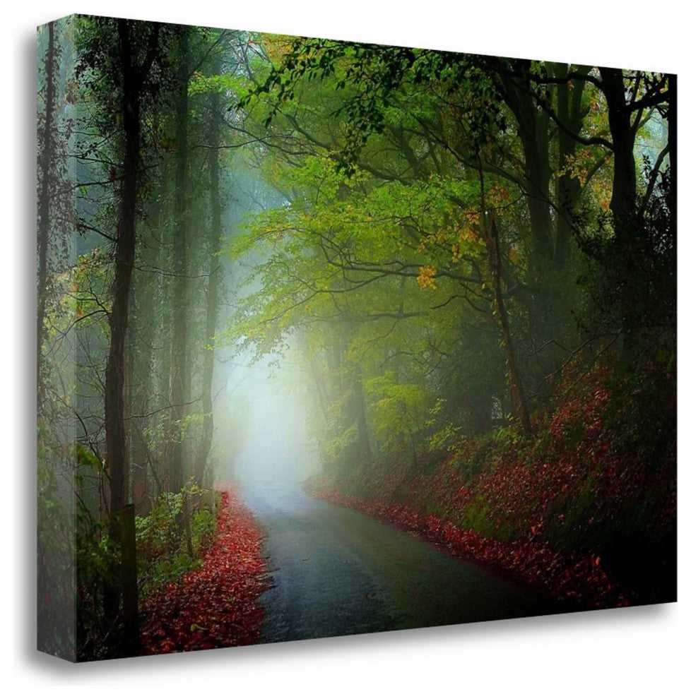 "The Lane" By Adelino Goncalves, Giclee Print on Gallery Wrap Canvas