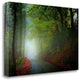 "The Lane" By Adelino Goncalves, Giclee Print on Gallery Wrap Canvas