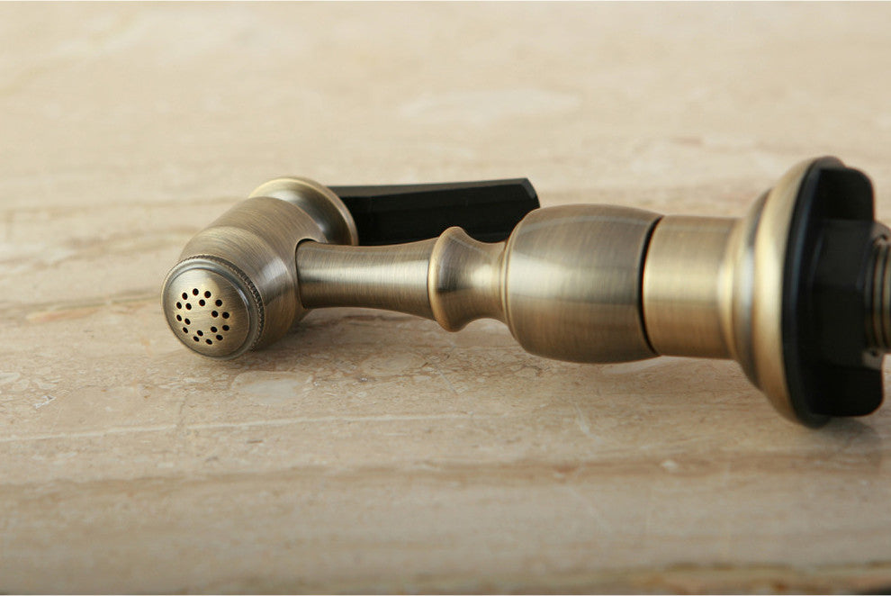 Gourmet Scape Kitchen Faucet Side Sprayer, Antique Brass