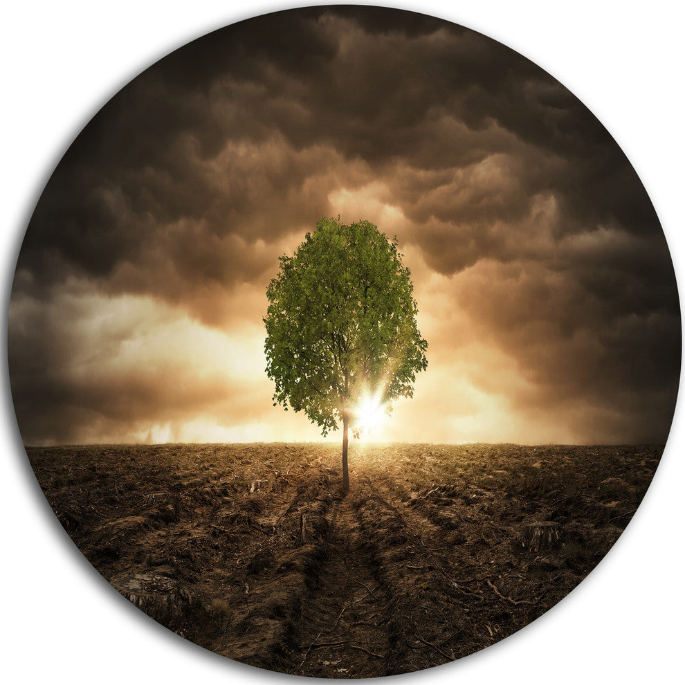 Lonely Tree Under Dramatic Sky, Disc Metal Artwork Landscape, 23"