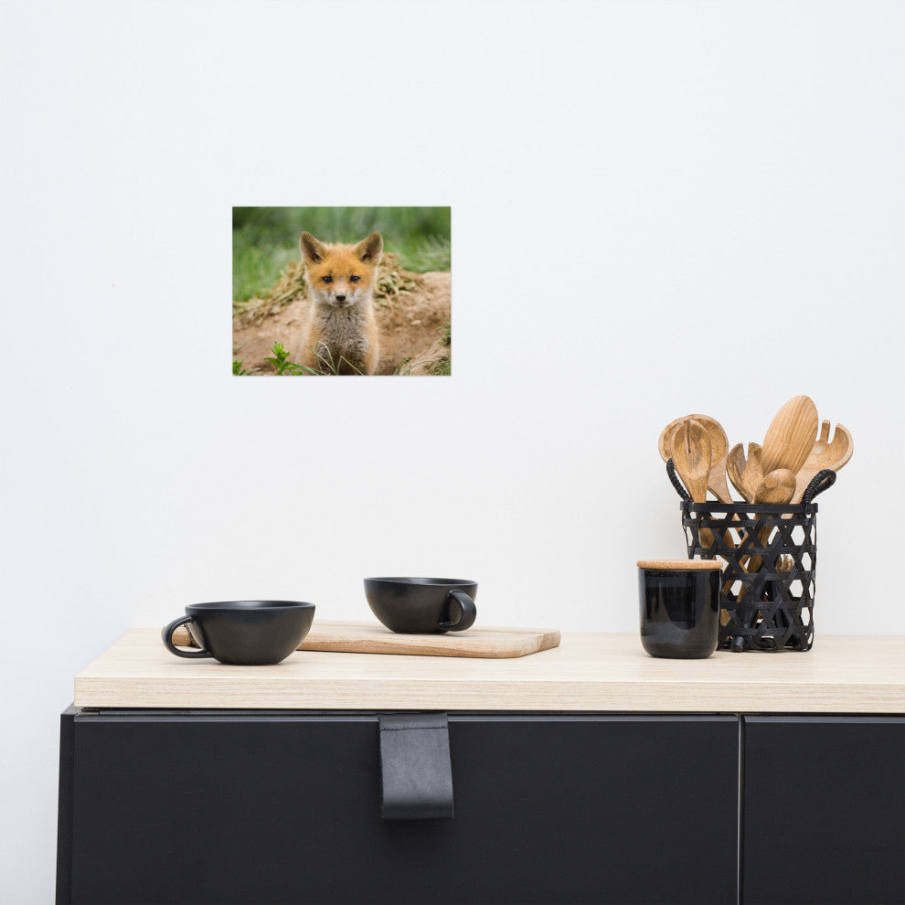Coming Out (Baby Fox Pup) Wildlife Photography Unframed Wall Art Print, 8" X 10"