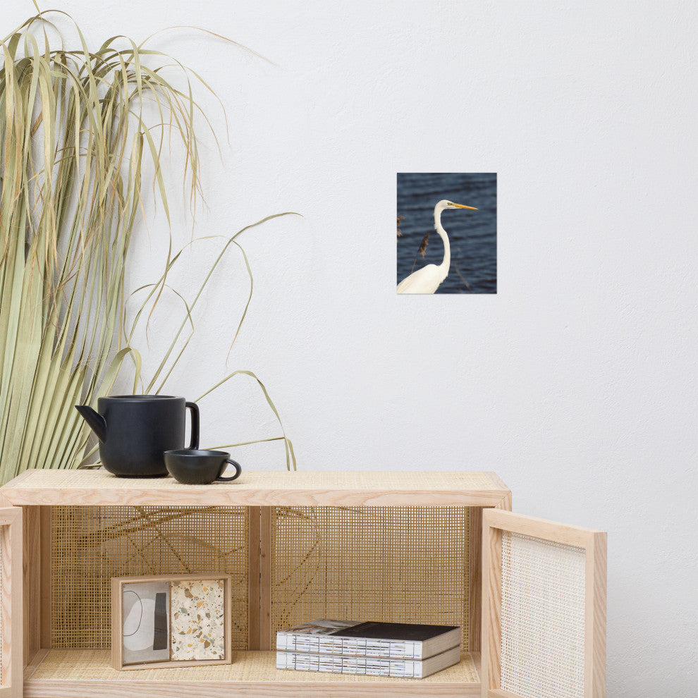 Great White Egret Wildlife Photography Unframed Wall Art Print, 8" X 10"