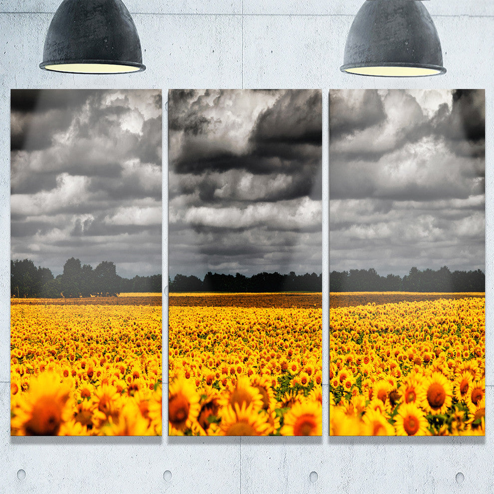 "Van Gogh Summer With Clouds" Metal Wall Art, 3 Panels, 36"x28"