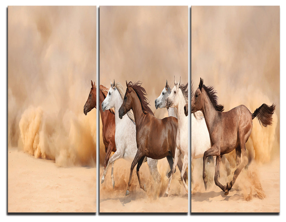 "Herd Gallops in Sand storm" Photography Metal Wall Art, 3 Panels, 36"x28"