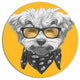 Maltese Poodle With Sunglasses, Modern Animal Round Metal Wall Art, 11"