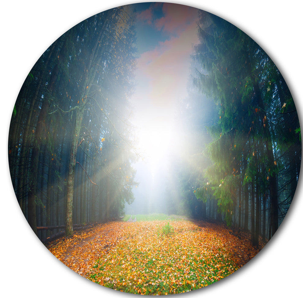 Rising Sun Over Colorful Forest, Landscape Disc Metal Wall Art, 11"