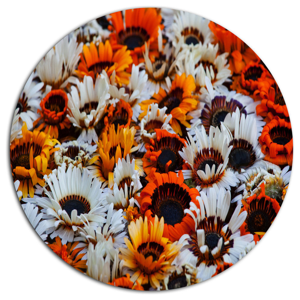 Colorful Sunflowers In Garden, Modern Floral Disc Metal Wall Art, 36"