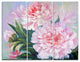 "Full Blown Peonies" Glossy Metal Wall Art, 3 Panels, 36"x28"