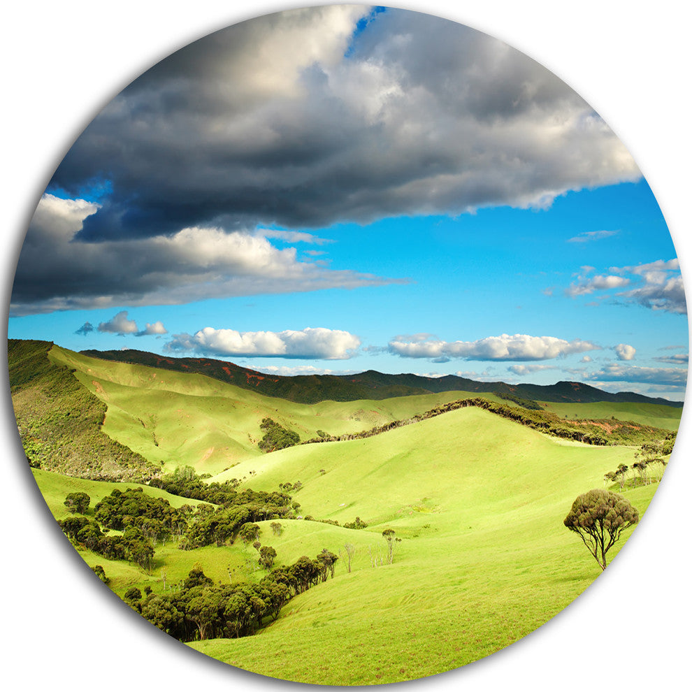 Pasture Under Cloudy Sky, Landscape Photo Disc Metal Artwork, 38"