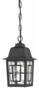 Banyan 1-Light Outdoor Hanging in Textured Black