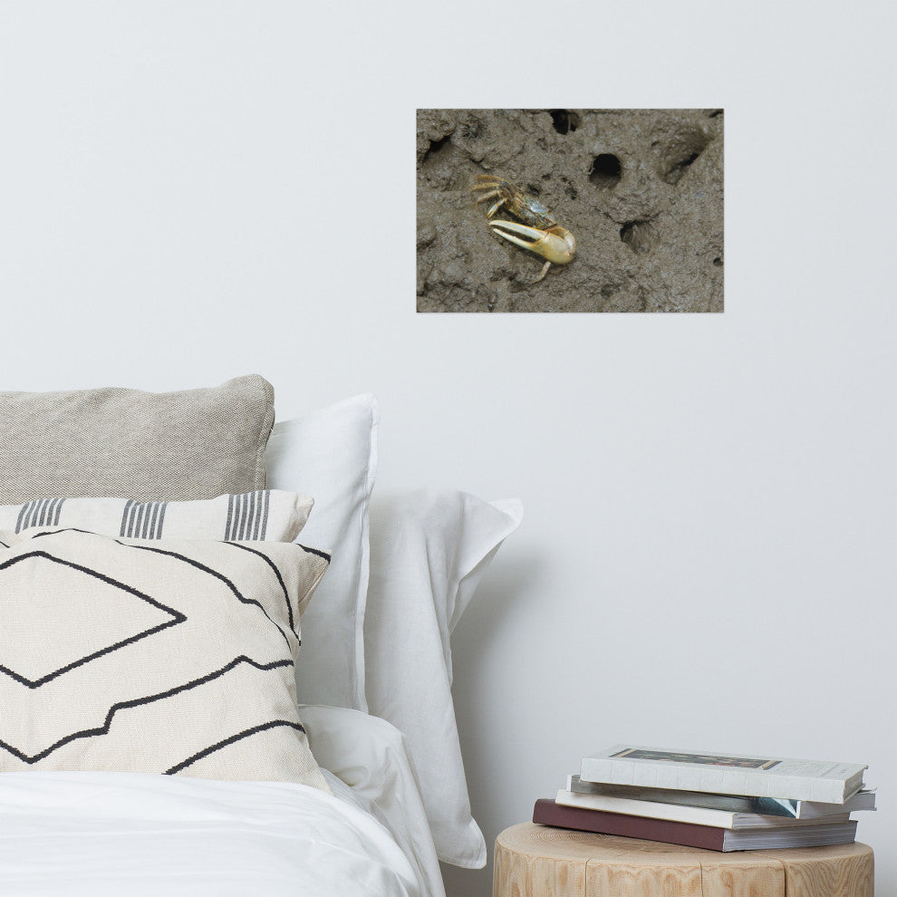 Fiddler Crab Wildlife Photography Unframed Wall Art Print, 12" X 18"