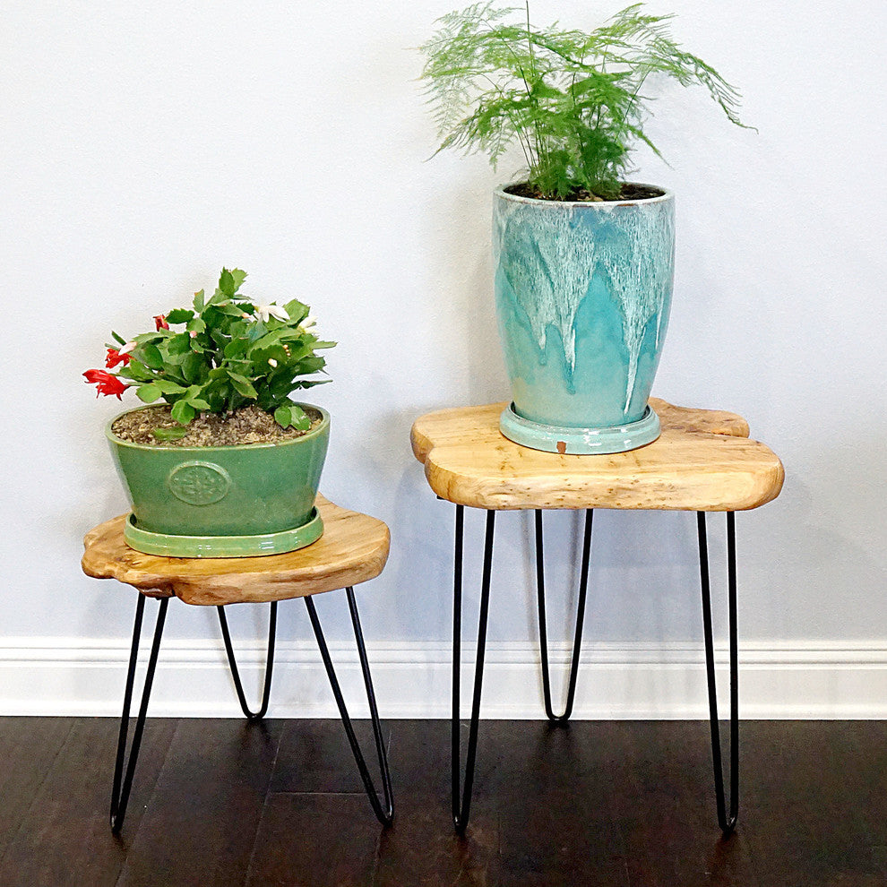 Cedar Wood Stump Small End Table