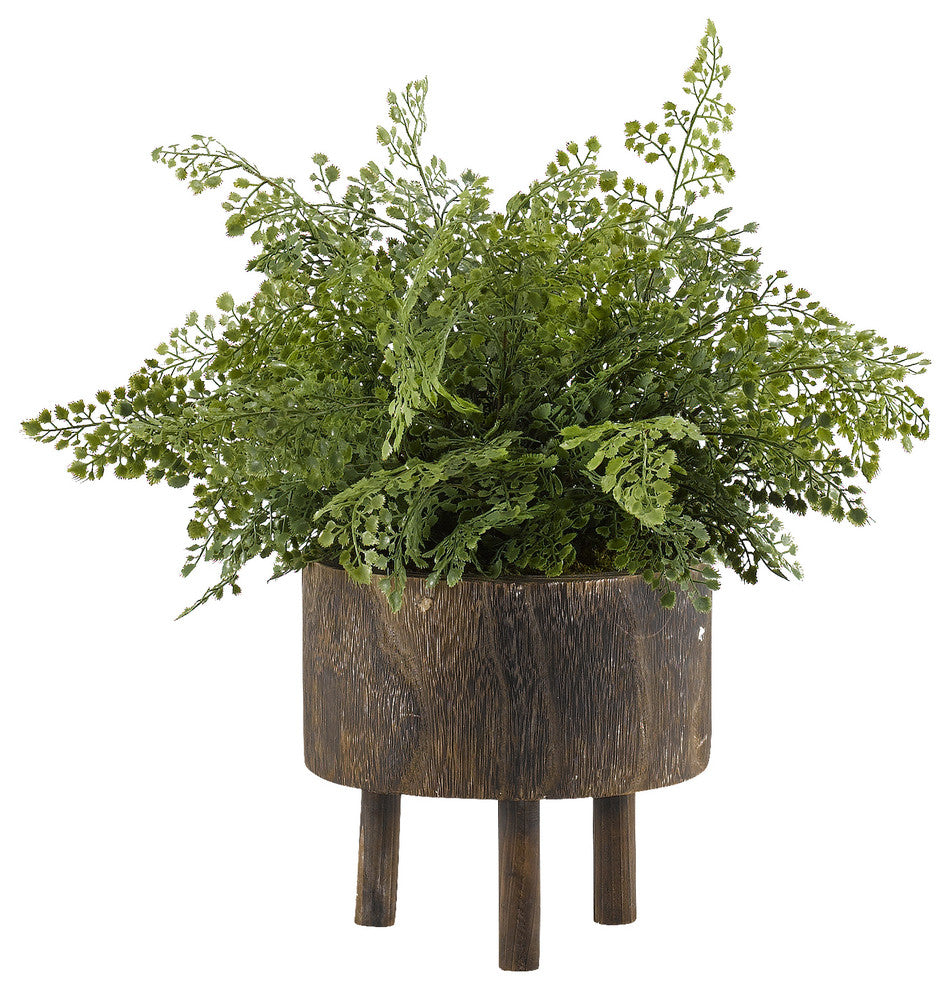 Maiden Hair Fern, Round Wooden Planter With Legs