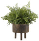 Maiden Hair Fern, Round Wooden Planter With Legs