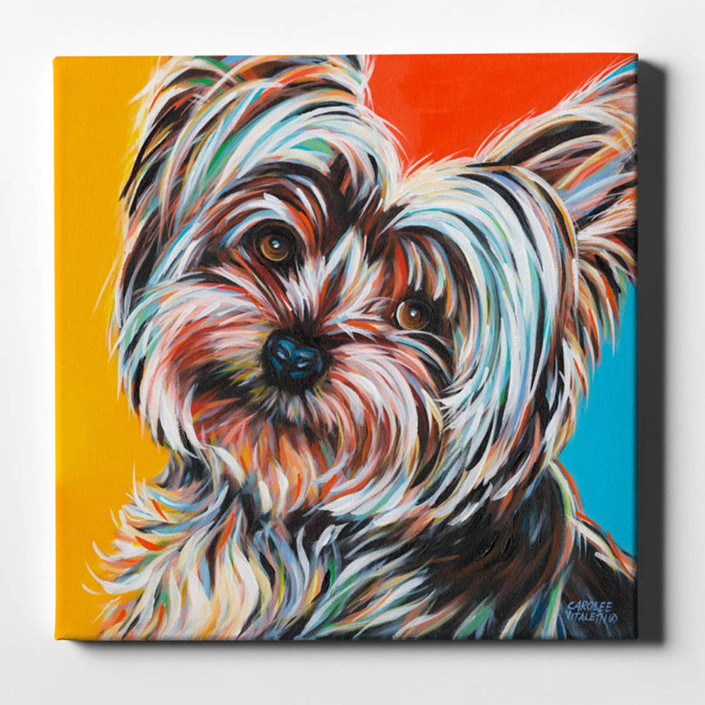 Sweet Yorkie II' by Carolee Vitaletti Giclee Canvas Wall Art, 12"x12"
