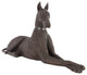 Great Dane, Bronze, Left