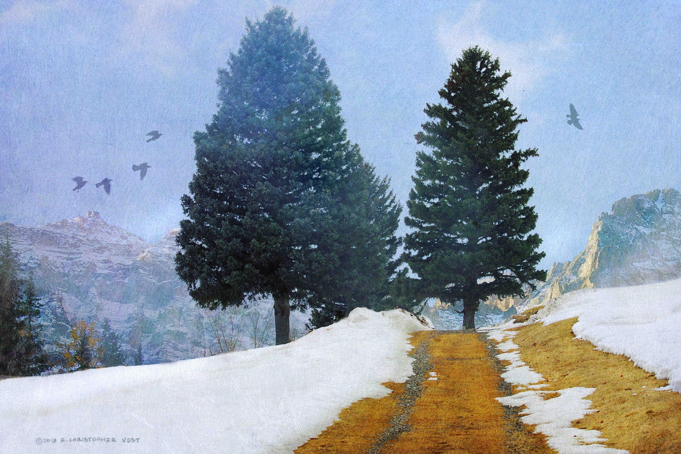 "Orange Mountain Road" Painting Print on Canvas by Chris Vest