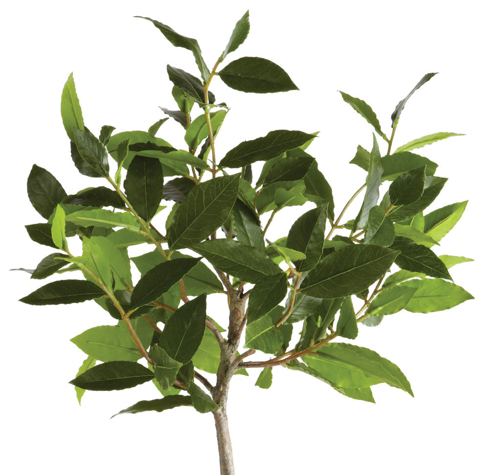 Artificial Bay Leaf Tree Drop-In Plant