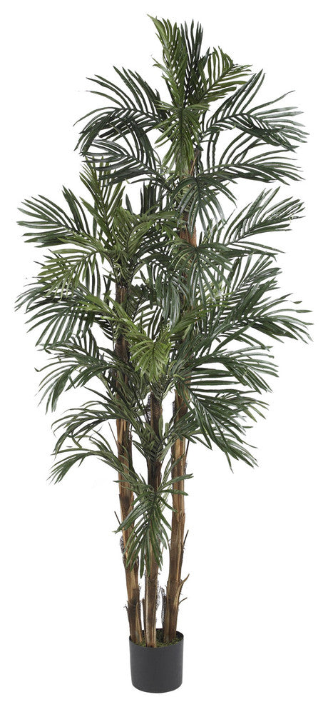 6' Robellini Palm Silk Tree
