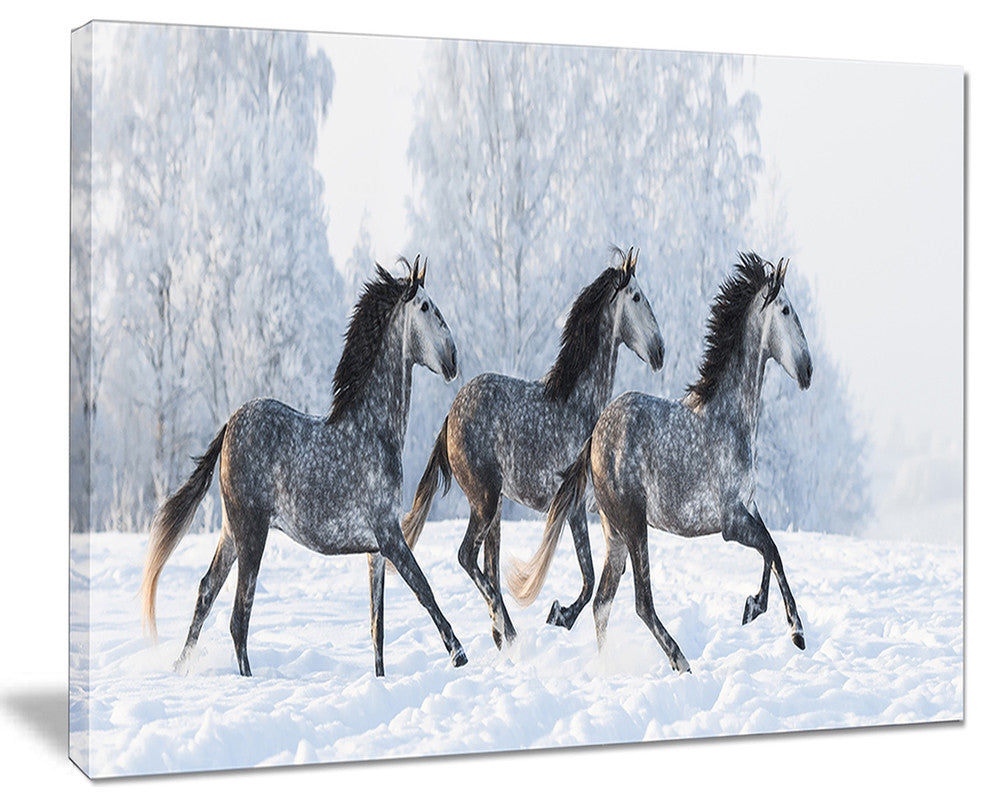 "Herd of Horses Run Across Snow" Landscape Print Wall Artwork, 20"x12"