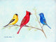 Three Birds Door Mat 30x50