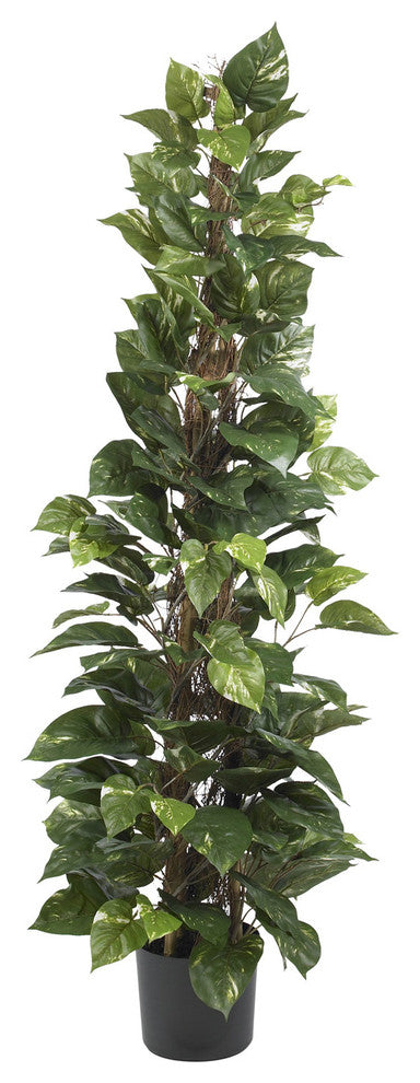 63" Pothos Climbing Silk Plant