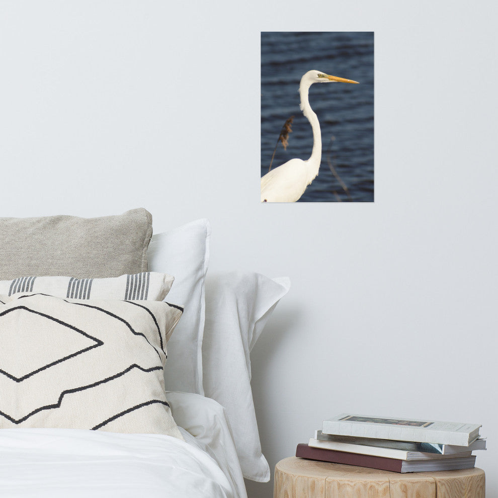 Great White Egret Wildlife Photography Unframed Wall Art Print, 12" X 18"