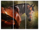 "The Thoroughbred" Photography Metal Wall Art, 3 Panels, 36"x28"