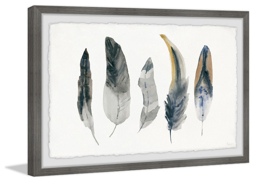 "Shaded Feathers" Framed Painting Print, 24"x16"