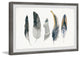 "Shaded Feathers" Framed Painting Print, 24"x16"