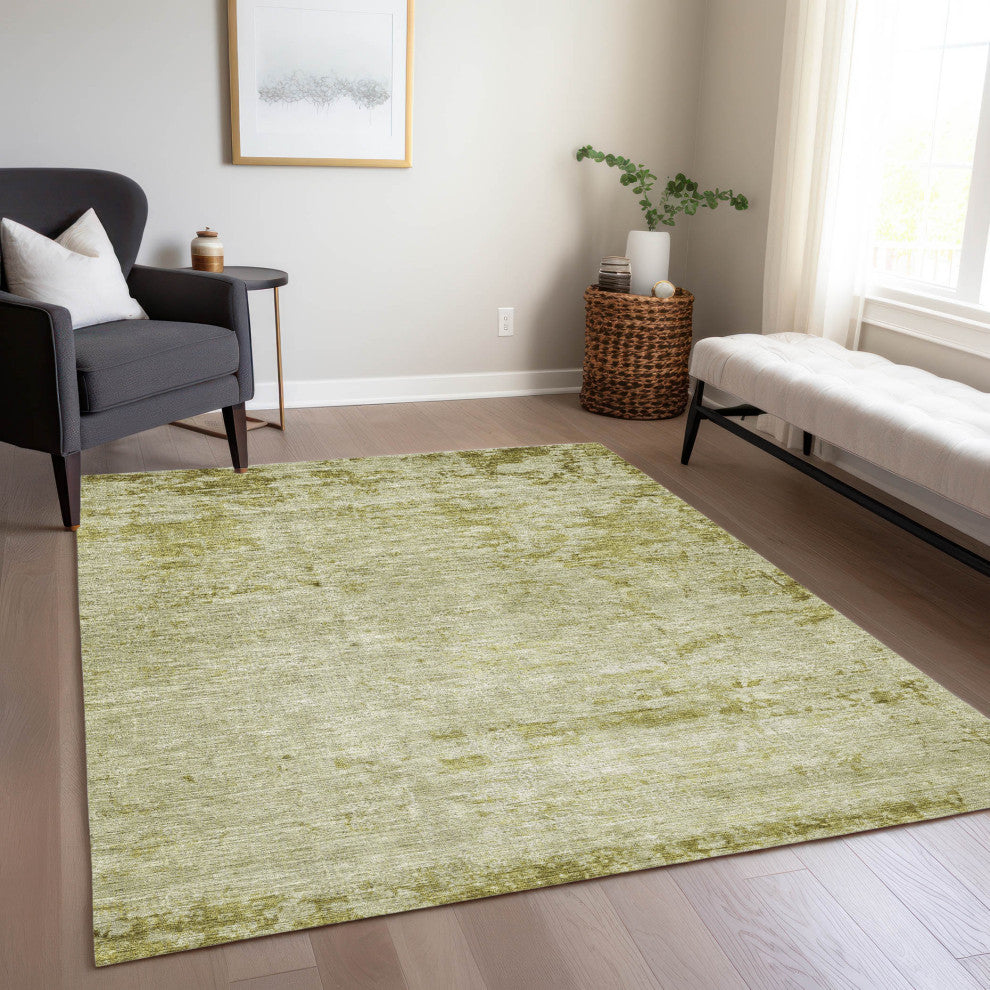 Machine Washable Indoor/Outdoor Chantille ACN1901 Aloe 10' x 14' Rug