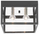 Livex Lighting Scandinavian Gray 4-Light Outdoor Ceiling Mount