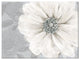 Grey Bloom Canvas Wall Art