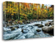 "Painted Autumn" By D. Burt, Giclee Print on Gallery Wrap Canvas, Ready to Hang