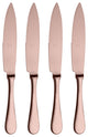 Steak Knife Set 4-Piece Set, Ice Bronze