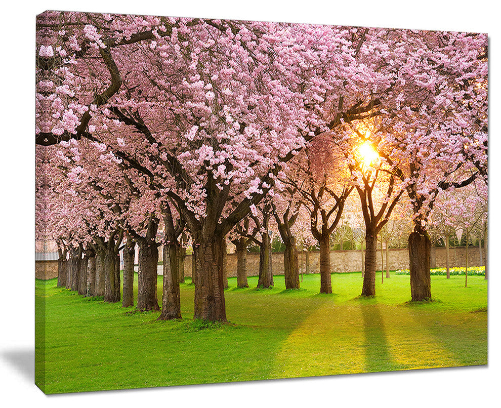 "Fascinating Springtime Cherry Scenery" Landscape Art Print Canvas, 20"x12"