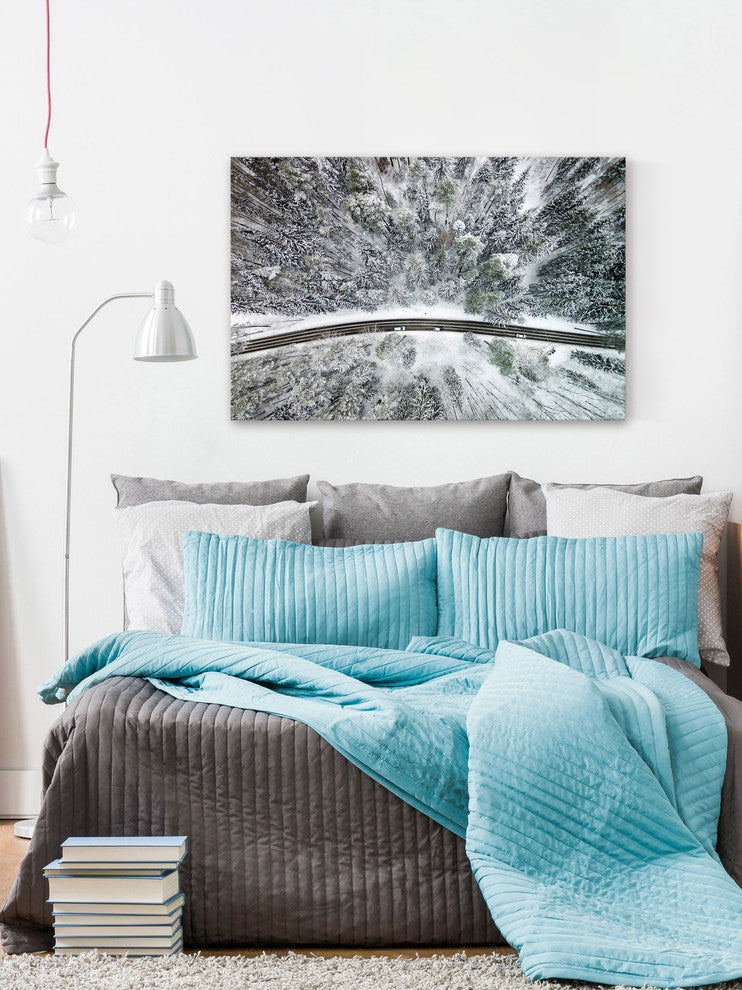 "Icy Firs" Print on Canvas by Karolis Janulis